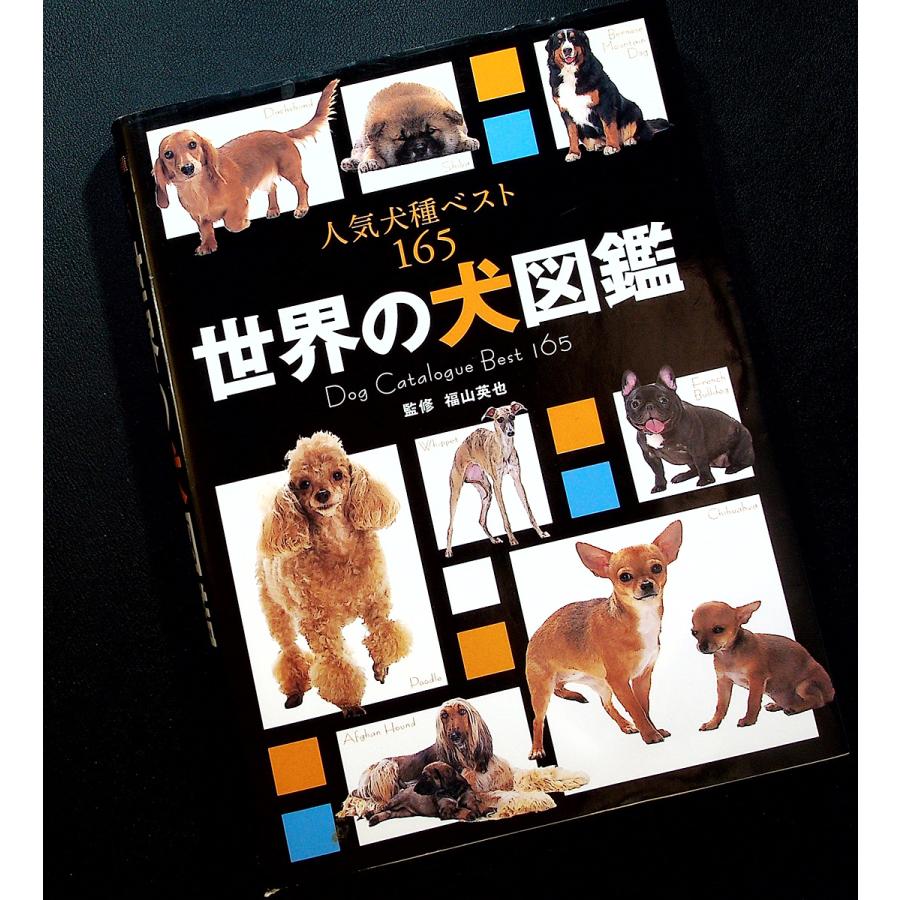世界の犬図鑑 6619 アールブックス ヤフー店 通販 Yahoo ショッピング