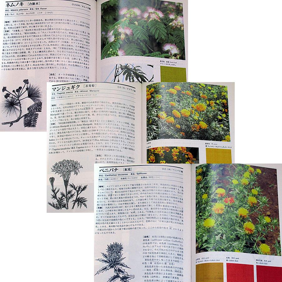草木染 染料植物図鑑 正 6728 アールブックス ヤフー店 通販 Yahoo ショッピング