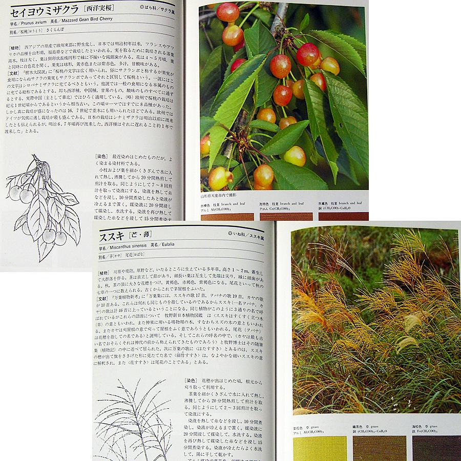 続 草木染 染料植物図鑑 : アールブックス・ヤフー店 - 通販 - Yahoo