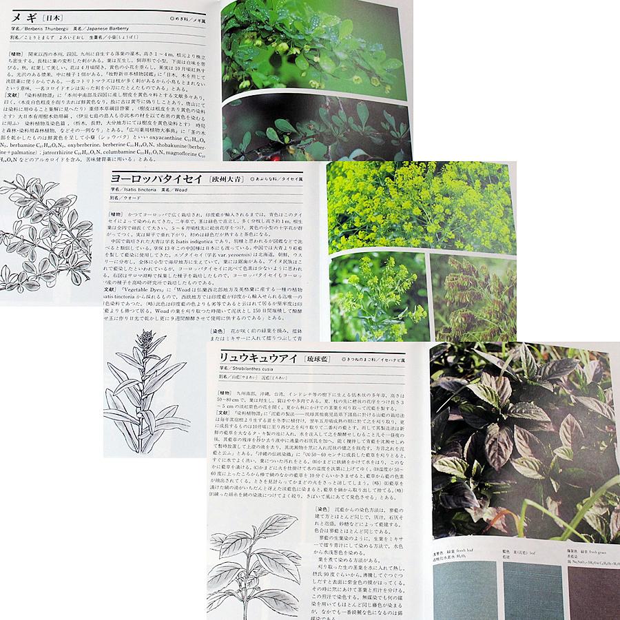 草木染染料植物図鑑、続、続続　山崎 青樹　3冊セット Amazon.co.jp: 続 草木染 染料植物図鑑 : 山崎 青樹: 本
