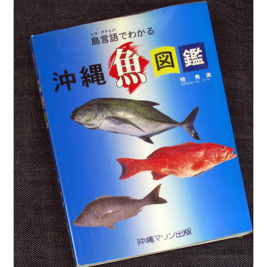 沖縄 魚図鑑 島言語でわかる 67 アールブックス ヤフー店 通販 Yahoo ショッピング