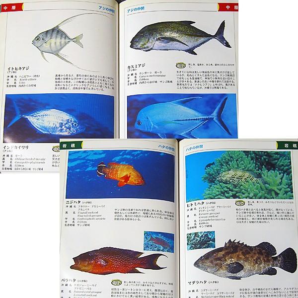 沖縄 魚図鑑 島言語でわかる 67 アールブックス ヤフー店 通販 Yahoo ショッピング