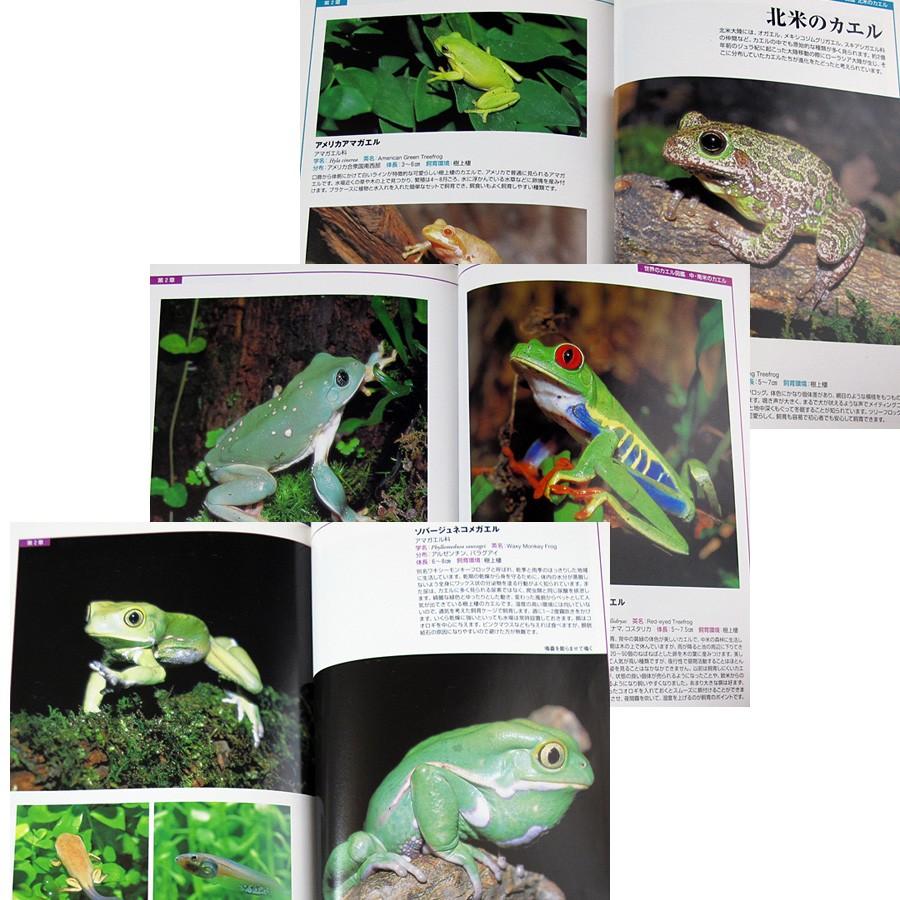 ザ カエル 世界のカエルの飼育がわかる本 6875 アールブックス ヤフー店 通販 Yahoo ショッピング