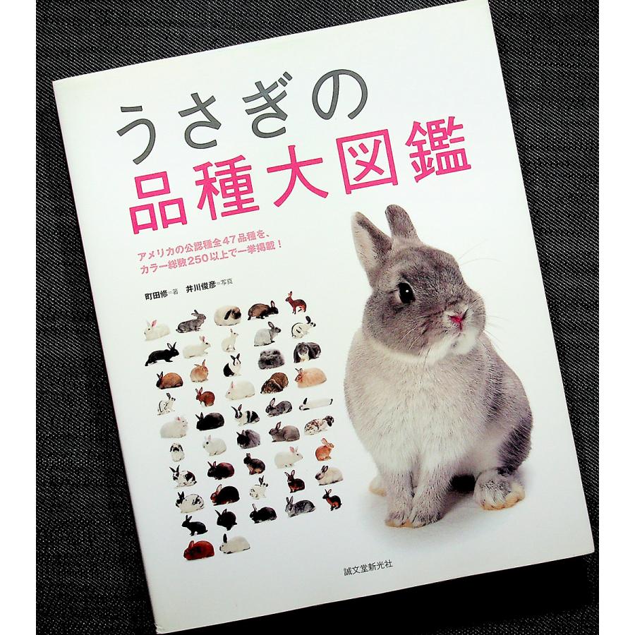 うさぎの品種大図鑑 6876 アールブックス ヤフー店 通販 Yahoo ショッピング