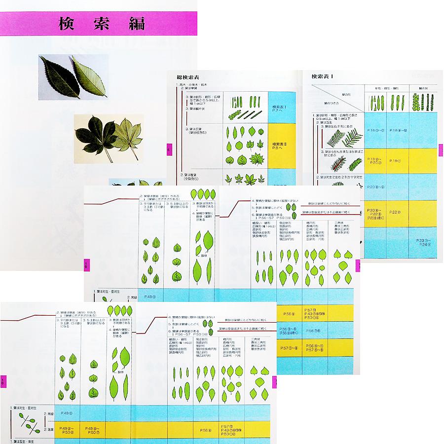 植木力の作品本物です。 植栽作法: 木は気を植える (ガーデン・テクニカル・シリーズ 6