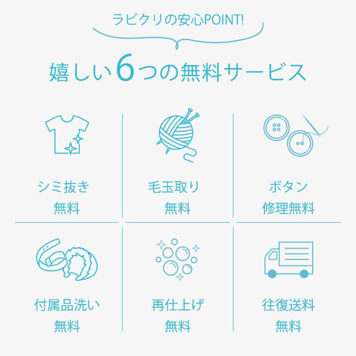 クリーニング　宅配　詰め放題　保管なし最速便コース　5点パック　送料無料　期間限定商品｜r-cleaning｜06