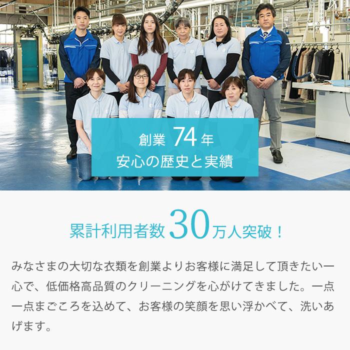 クリーニング 宅配 詰め放題 保管なし最速便コース 20点パック