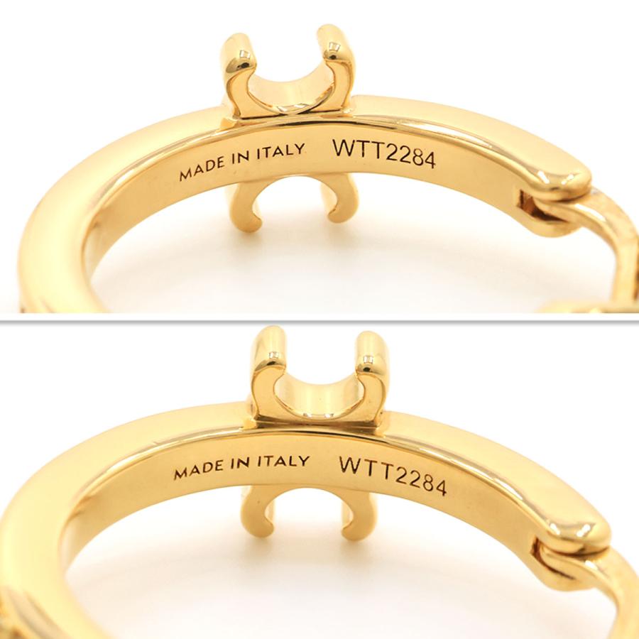 CELINE（セリーヌ） ピアス トリオンフ スパークル フープ 461DB6BZI