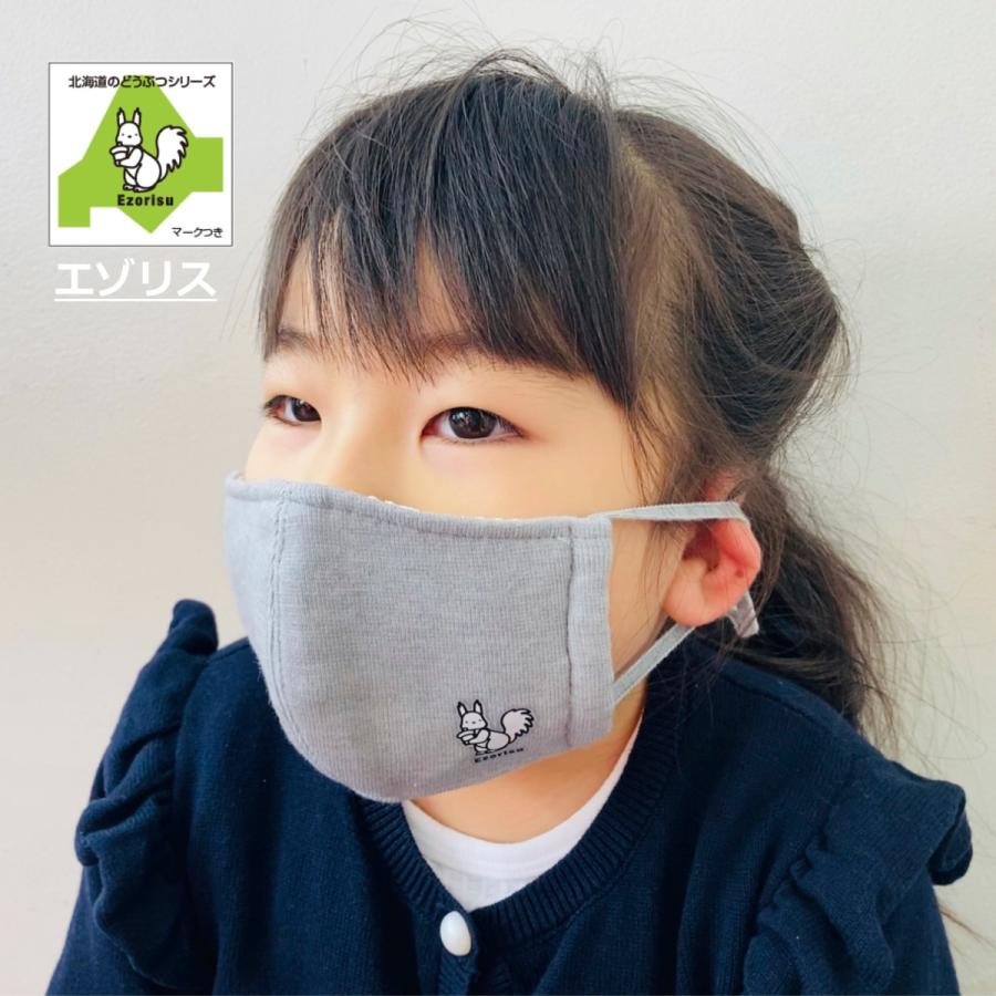 マスク 抗菌 シロクマ 日本製 抗ウィルス 洗える３層 R-e |  | 11