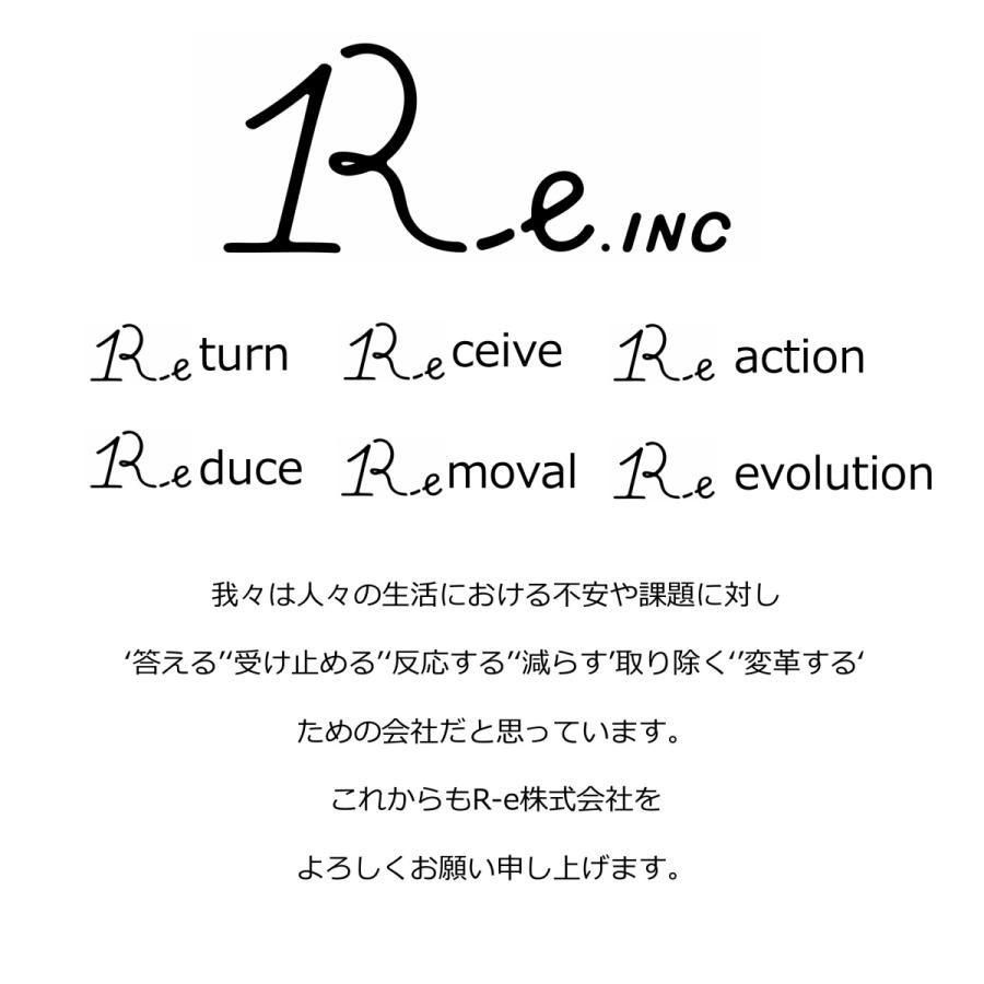 マスク 抗菌 エゾリス 日本製 抗ウィルス 洗える３層 R-e |  | 12