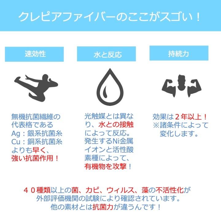 マスク 抗菌 エゾリス 日本製 抗ウィルス 洗える３層 R-e |  | 02