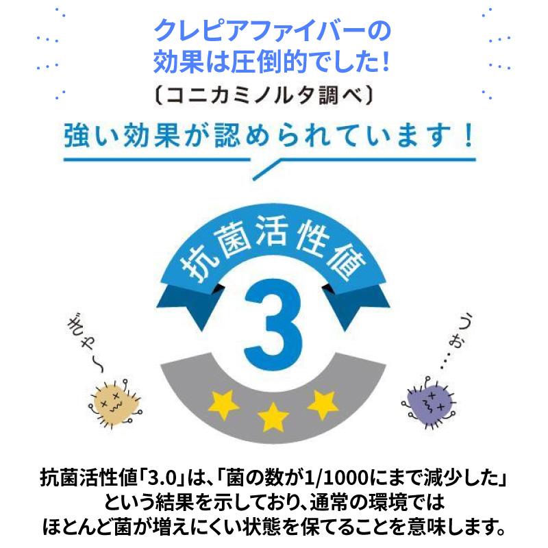 消臭 靴下 メンズ レディース キッズ 抗菌 防臭 蒸れない アンクル丈 ソックス ニッケル ビジネス 革靴 プレゼント ギフト 送料無料 夏もさらさら 夏用 | ニッケルがはたらくそっくす | 10