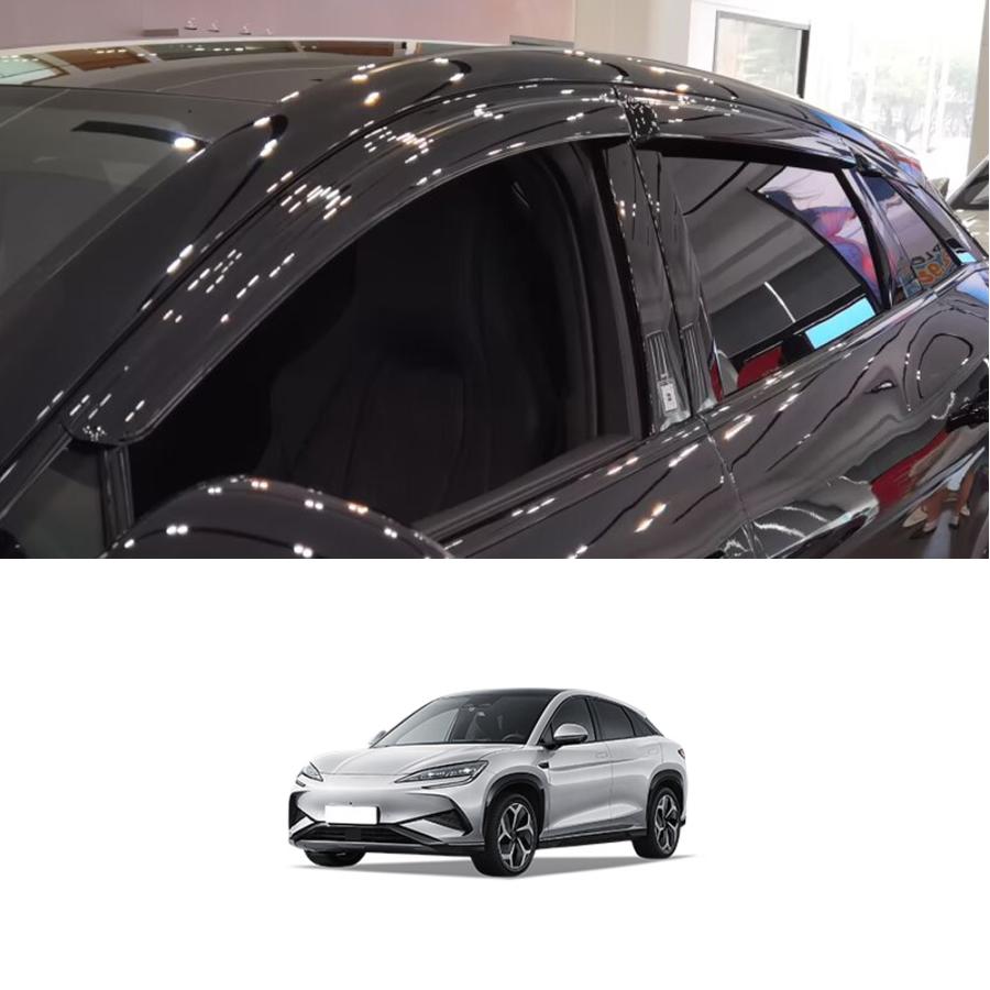 LO020 シーライオン 7（BYD）専用 ドアバイザー サイドバイザー