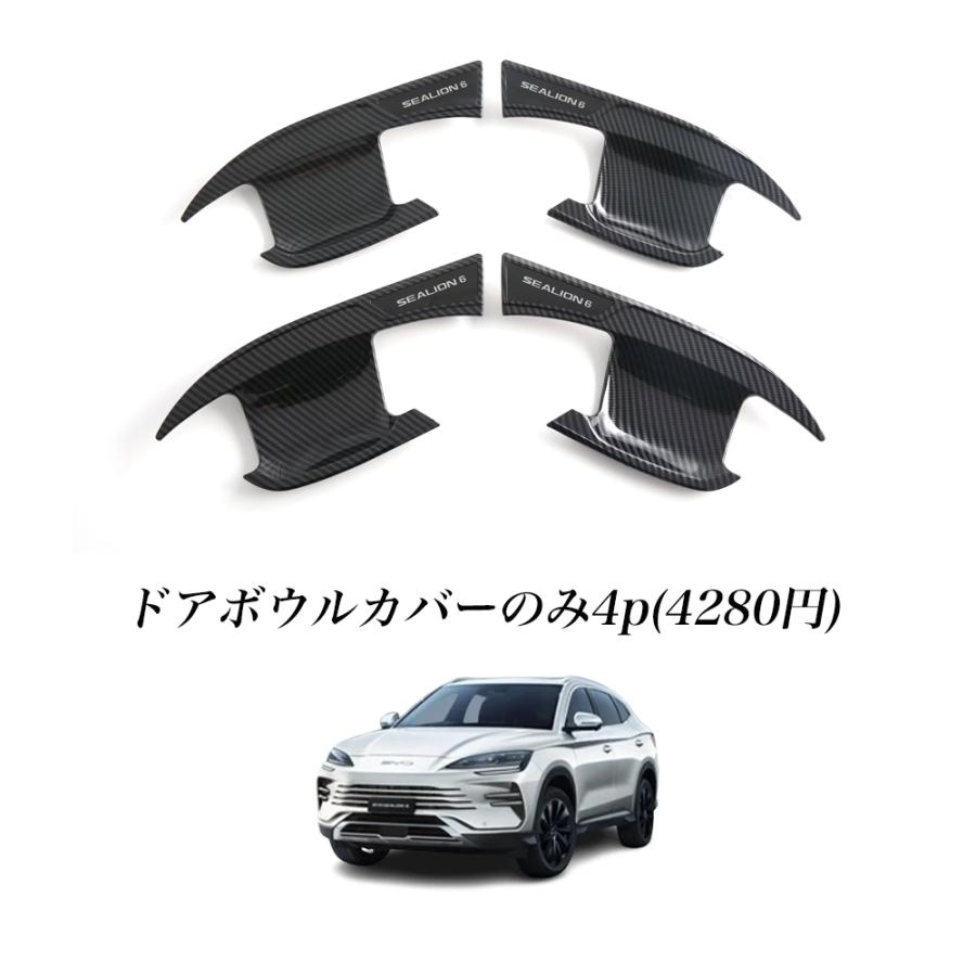SD005 シーライオン 6（BYD）SA 新型 SEALION 6 外側 ドア