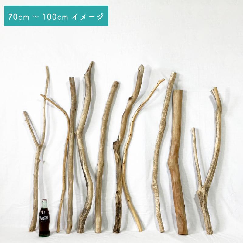 流木 棒 枝 おまかせセット 70cm〜100cm×2本 インテリア 観葉植物 吊り 