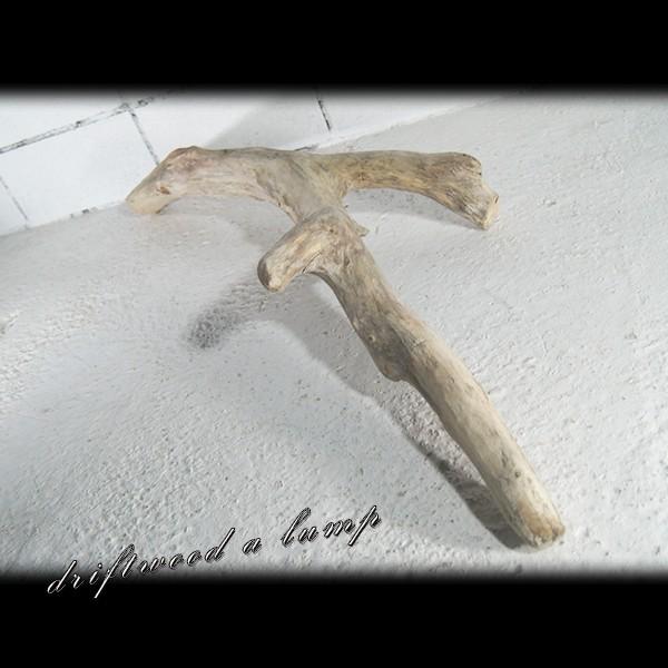 昆虫 止まり木 爬虫類 昆虫止まり木 両生類 のぼり木 Ka0109 Prettyfunnyballoons Com