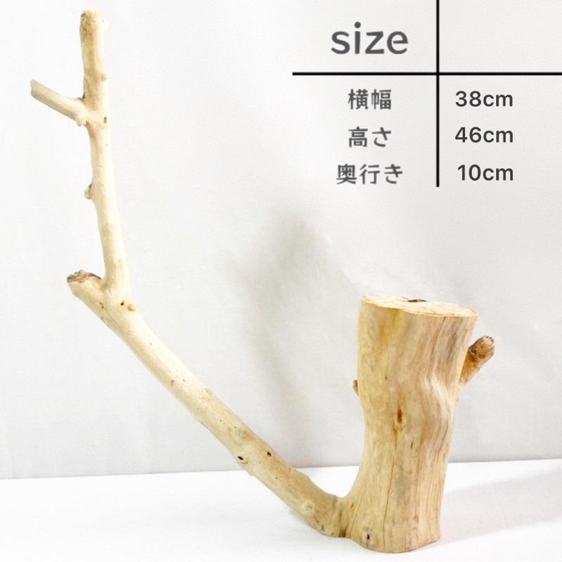 k42アク抜き済み流木 爬虫類シェルター レイアウト用 インテリア エアプランツ k42アク抜き済み流木 爬虫類シェルター レイアウト用 インテリア