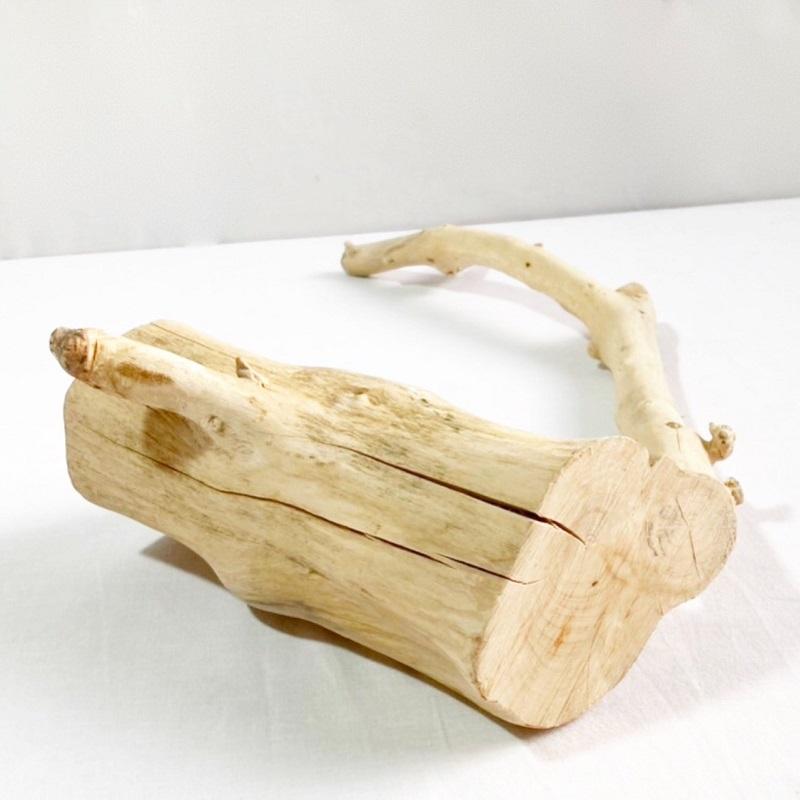 流木 塊流木 インテリアデザイン 造園 工芸品 パルダリウム エア