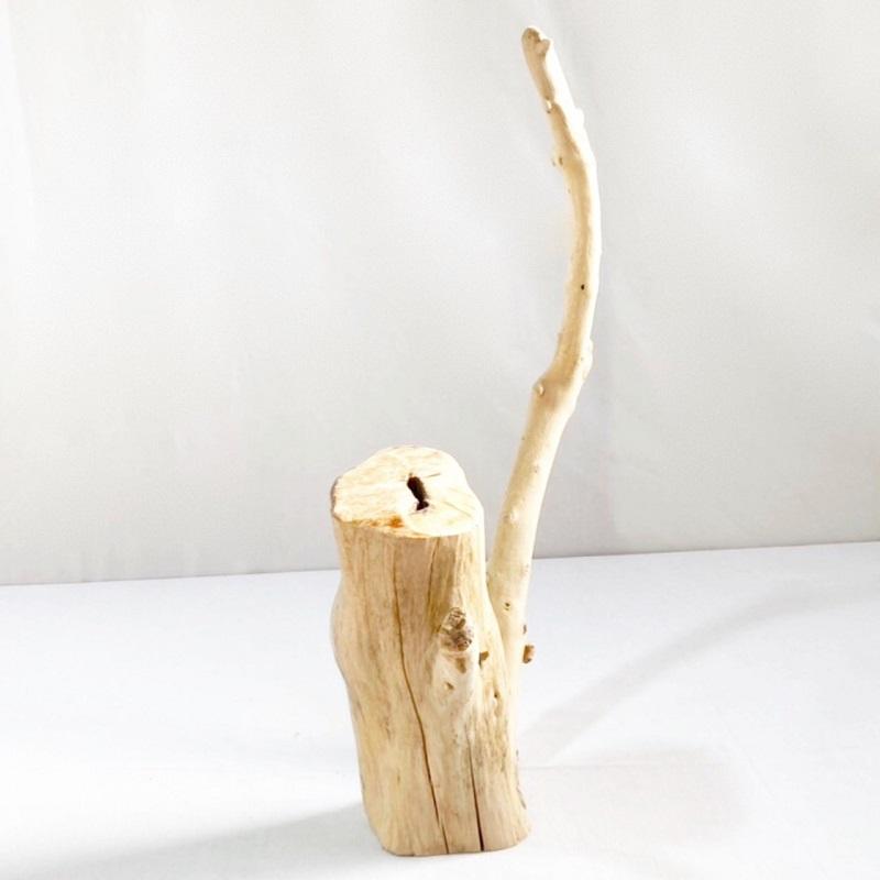 流木 塊流木 インテリアデザイン 造園 工芸品 パルダリウム エア