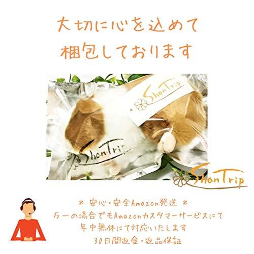 Shantrip かわいい モルモット ぬいぐるみ 天竺鼠 テンジクネズミ ふわふわ 人形 ギフト 贈り物 ブラック Gkn Animato Shop 通販 Yahoo ショッピング