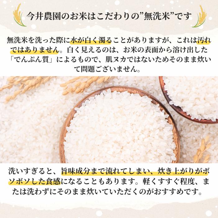 《キャンプライス》【無洗米】 令和7年産 1合 150g コシヒカリ 色彩選別済み 白河産 プレミアム 真空パック 個包装 ギフト 贈答用 防災グッズ ソロキャンプ |  | 04