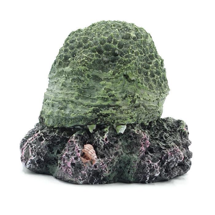 アクアリウム Xl S1767 サンゴ丸 グリーン 水中オブジェ 水槽用レイアウト サンゴ1株 Aqarium 箱庭 Xls1767 ロク 通販 Yahoo ショッピング