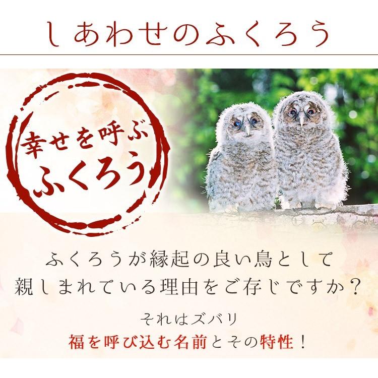 マグカップ 名入れ ペア ペアマグ 有田焼 夫婦 ペア ふくろう プレゼント 名前入り ギフト 祝い 男性 女性 誕生日 結婚 還暦 記念 :hukumug:名入れギフトのアールクオーツ - 通販 - Yahoo!ショッピング マグカップ 名入れ ペア ペアマグ 有田焼 夫婦 ペア ふくろう プレゼント 名前入り ギフト 祝い 男性 女性 誕生日 結婚 還暦 記念 :hukumug:名入れギフトのアールクオーツ - 通販 - Yahoo!ショッピング