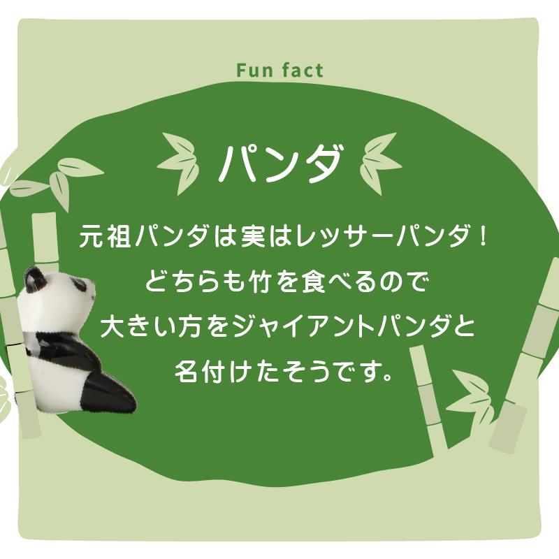 DECOLE（デコレ） 竹パンダマグ 名入れ マグカップ パンダ カップ