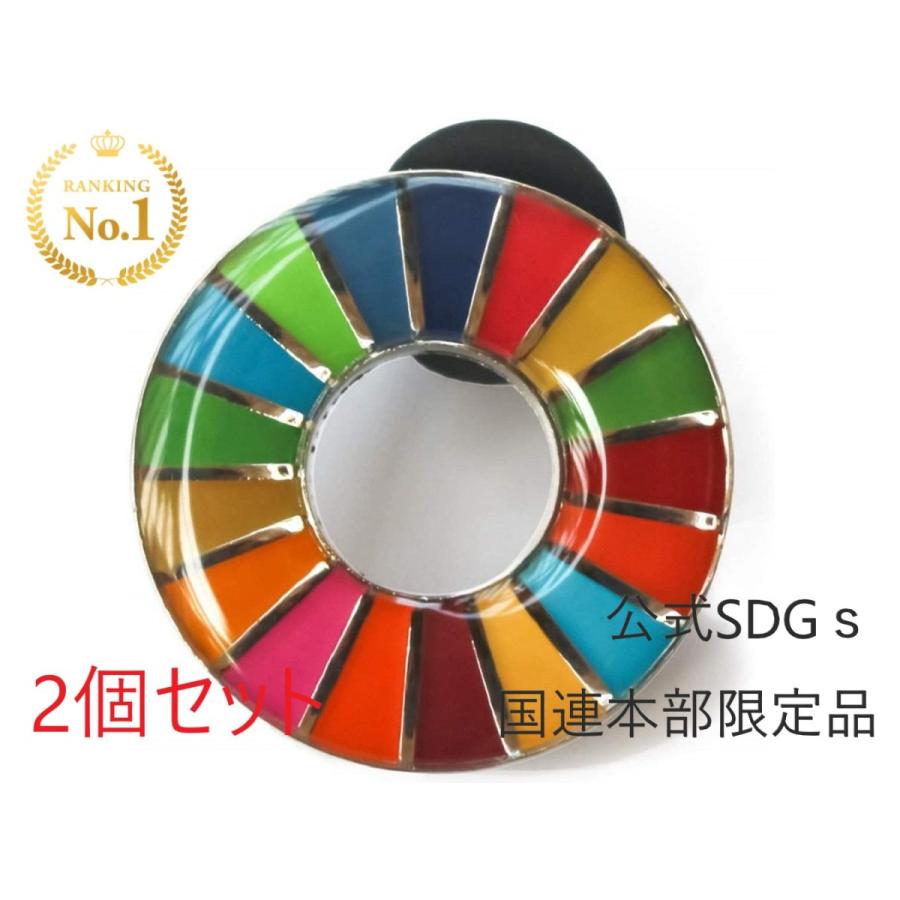 正規販売店】 国連本部限定販売 SDGs ピンバッジ 日本未発売 UNDP 丸み