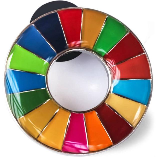 【国連本部純正品】10点　SDGs  ピンバッジ　【新品未使用】 正規販売店】 国連本部限定販売 SDGs ピンバッジ 日本未発売 UNDP 丸み