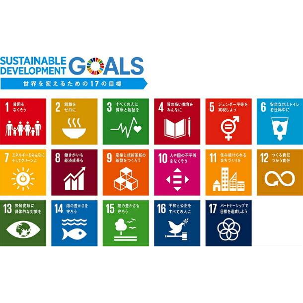正規販売店】 国連本部限定販売 SDGs ピンバッジ 日本未発売 UNDP 丸み