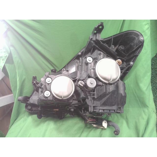 ロイヤルペット18体 ロイヤルペット18体