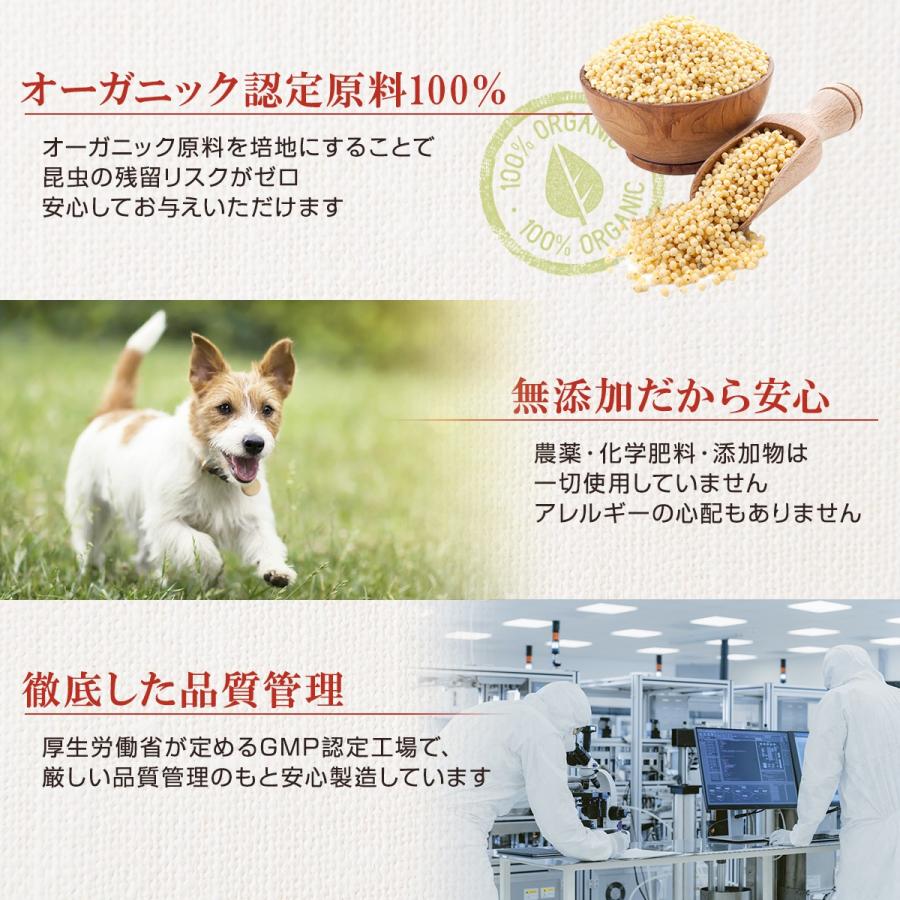 犬 猫 有機 冬虫夏草 ガナシン 50g 免疫力対策 ペット サプリ オーガニック ローヤルゼリー配合 アレルギーフリー 七星堂 1069 0001 くらしの生活雑貨 木の葉ストア 通販 Yahoo ショッピング