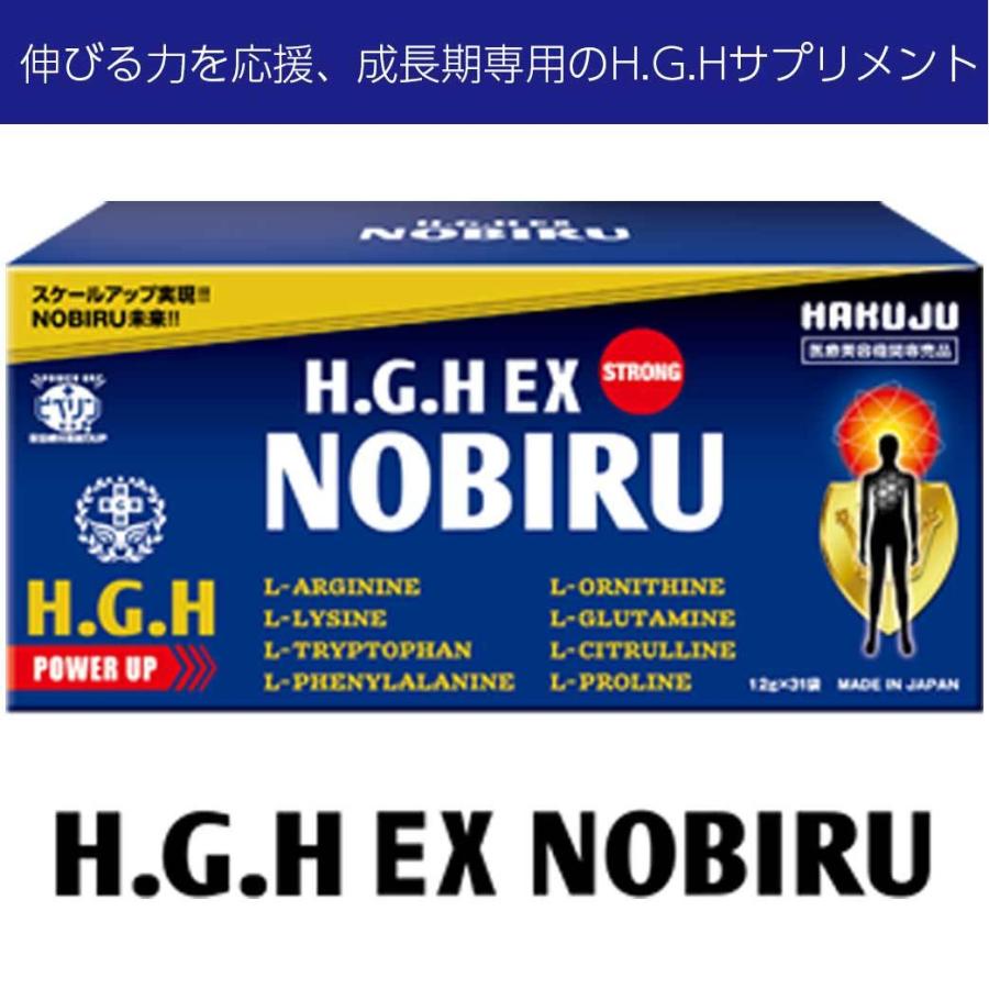 オイルペイント HGH EX NOBIRU 1箱 10.5g×31袋 FUJIX h.g.h アミノ酸７