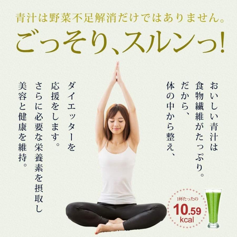 やまだの青汁(3g×90包) 食物繊維 野菜不足に : くらしの生活雑貨