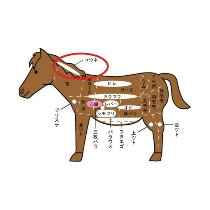 横浜馬油商店 生馬油 こうね100％ 50g ×2個 ゴールド ボディクリーム