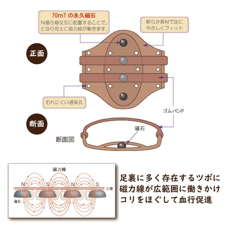 家庭用磁気治療器 ピンピン ぴんぴん(両足用 2個入) 磁気健康足心