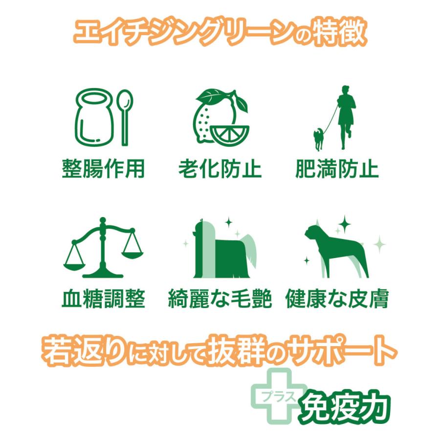 Premium乳酸菌H&JIN グリーンEX 動物用 30包(乳酸菌 ペット 犬用 猫用 エイチジン 動物用 高品質乳酸菌 サプリ サプリメント) |  | 01