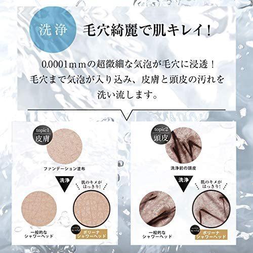 Bollina（ボリーナ） シャワーヘッド ボリーナワイドプラス シルバー