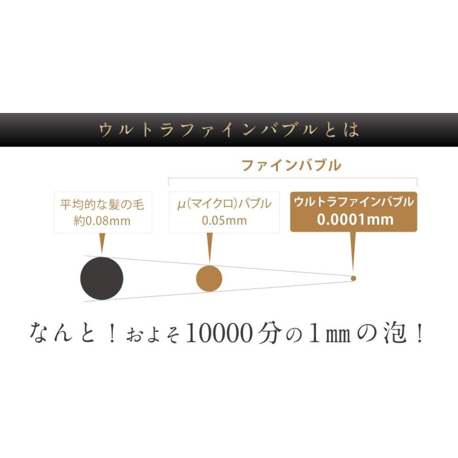 Bollina（ボリーナ） シャワーヘッド ボリーナプリート TK-7030