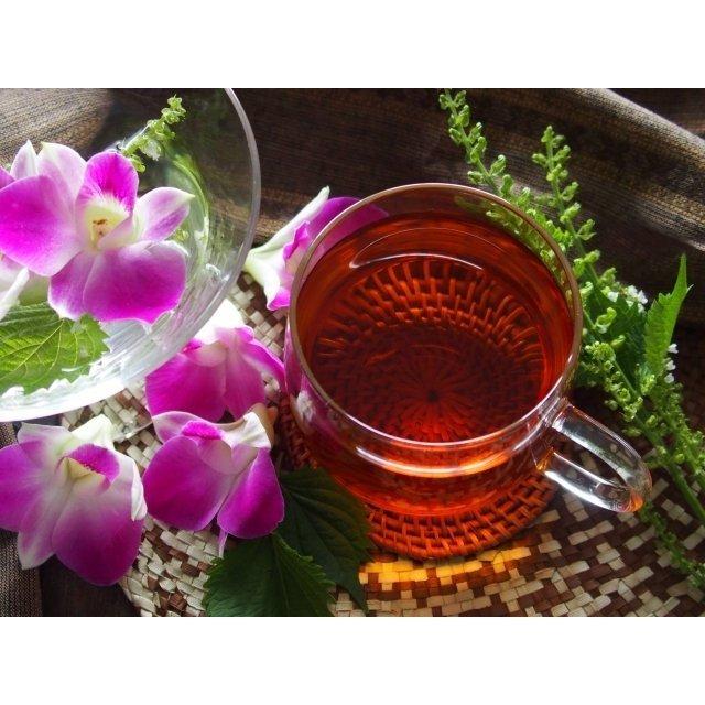 チャーガ茶 健康茶 お茶 チャーガティ 宮内庁御用達 ティーパック 4g