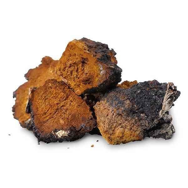 チャーガ茶 健康茶 お茶 チャーガティ 宮内庁御用達 ティーパック 4g