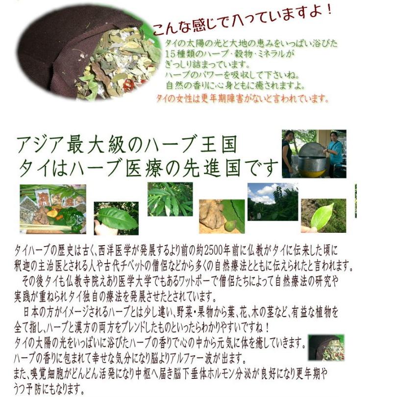 新品】薬草ホットパット Lサイズ 冷え性・肩こり対策 【公式通販】