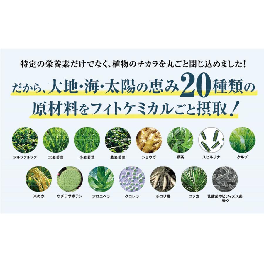 ベジパワープラス 30包 アビオス 青汁 野菜不足の方に 無農薬 砂糖不使用 保存料不使用 グルテンフリー｜r-sto｜03