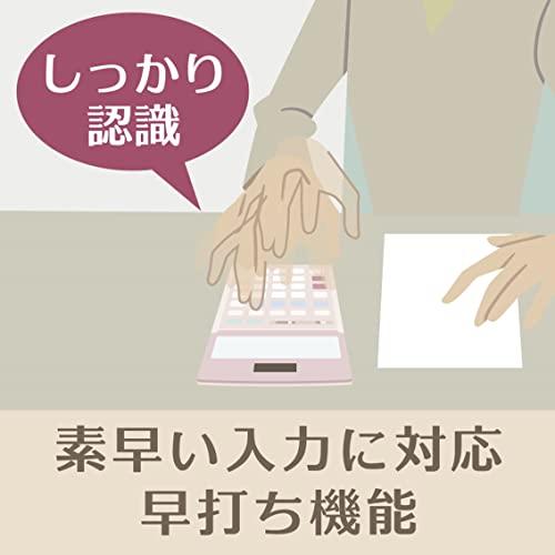 カシオ 本格実務電卓 10桁 検算機能 デスクタイプ DS-10WKA-N グリーン