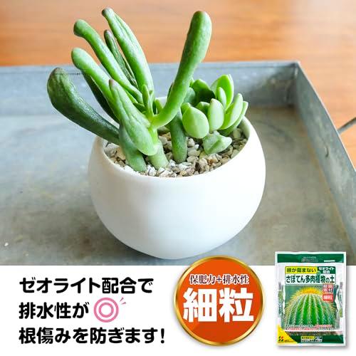 花ごころ さぼてん多肉植物の土 ゼオライトで根腐れ防止 5L