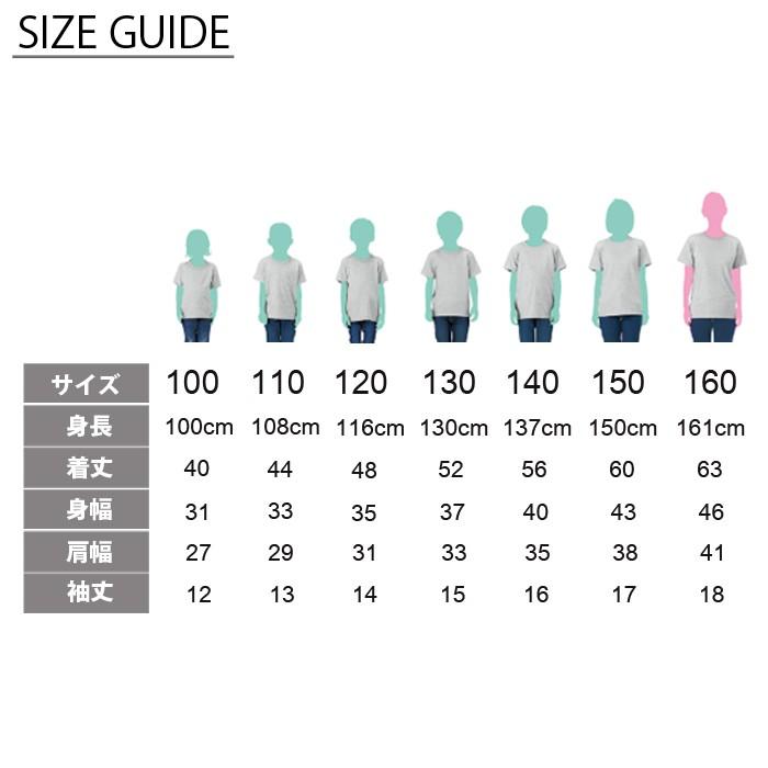 ソリッドポケットTシャツ グリーン 38サイズ THE NORTH FACE＞ショートスリーブヌプシティー Tシャツ （T