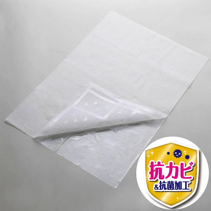 パッと貼るだけ ホコリとりフィルター 空気清浄機用 2枚入 抗カビ 抗菌