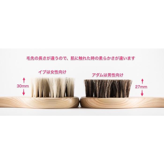 アートブラシ社 馬毛のボディブラシ さくら イブ (アートブラシ 正規品