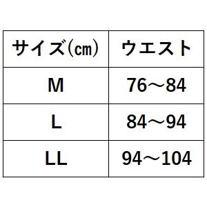 吸水ポケット付き 失禁ボクサーパンツ 2色組 (ちょいモレ対策 後ろモレ 横モレ 尿もれ 尿モレ 失禁パンツ テイジン ベルオアシス 使用)_4